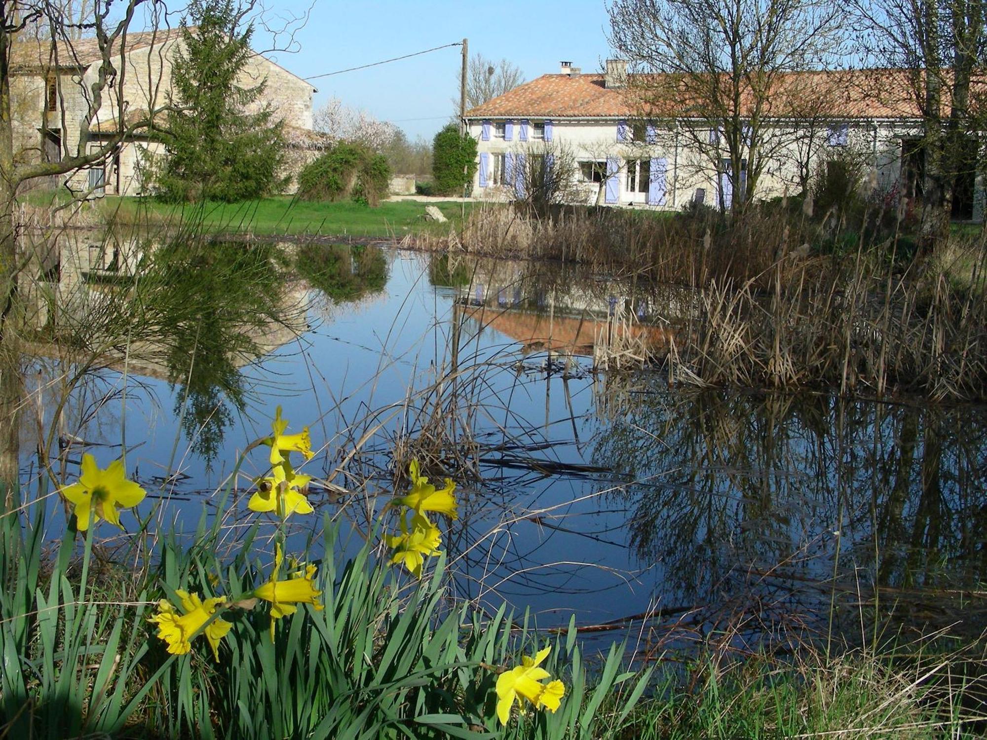 Chambres D'Hotes Entre Niort Et Marais Poitevin Bessines Kültér fotó
